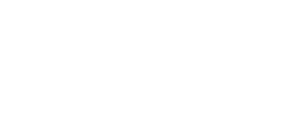 Zonda Home Logo